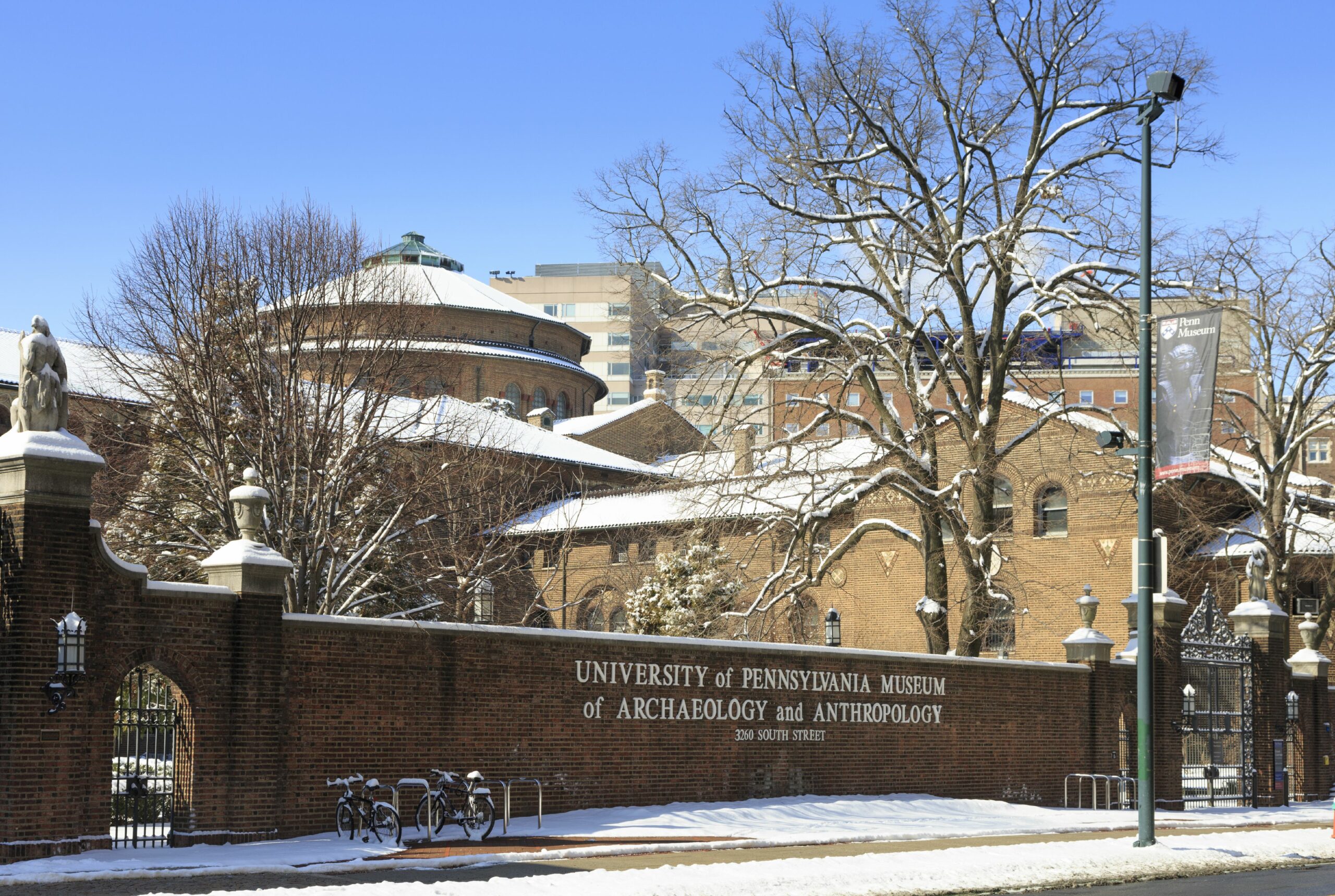 Amid A Racial Reckoning On Museums, Penn Museum Will No Longer Display  Human Remains -