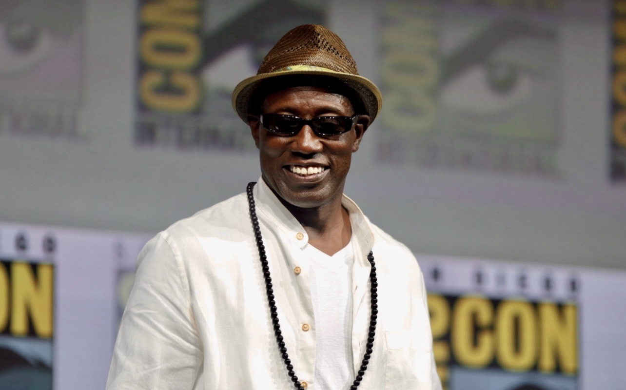 Wesley Snipes Has 2 Guinness World Records